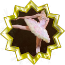 File:Badge-edit-7.png