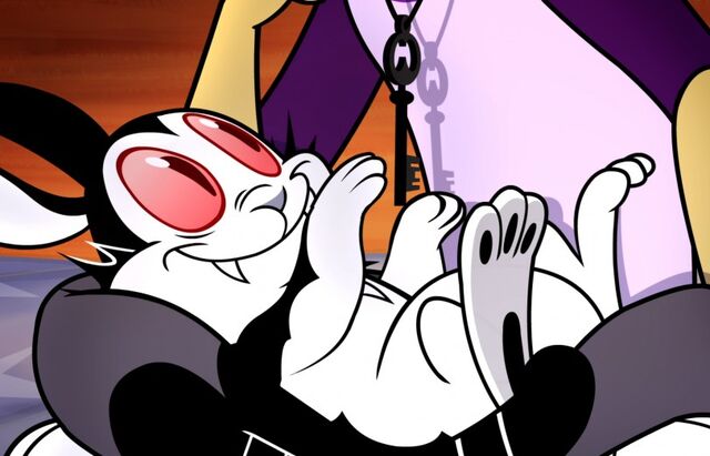 Archivo:Bunnicula.jpg