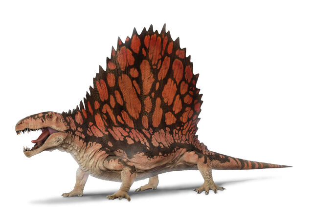 Archivo:DimetrodonInfobox.jpg