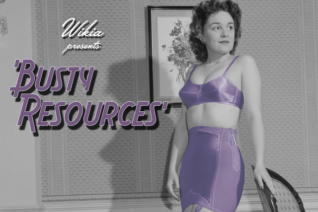 File:Wikia-Visualization-Main,bustyresources.png
