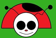 Ladybug