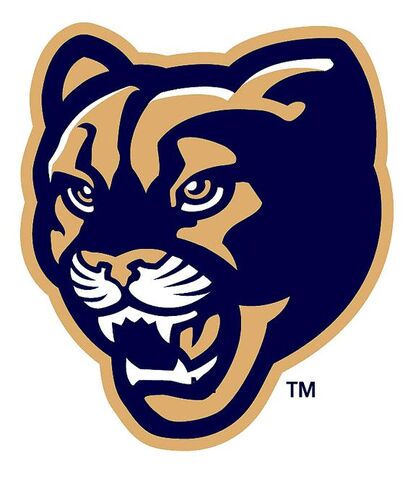 File:Cougar 2.jpg