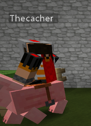 Thecacher riding pig