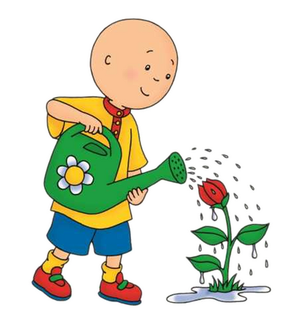 File:FB,103,81,pasta-resimleri-caillou-cicek-suluyor-pasta-resimleri.png