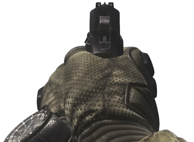 File:P226 iron sights CoDG.png