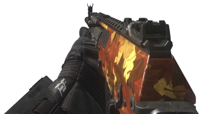 File:AK-12 Autumn CoDG.png