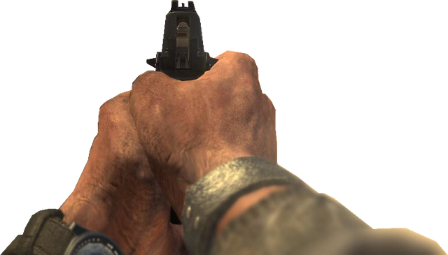 File:USPT.45 Iron Sights CoDO.png
