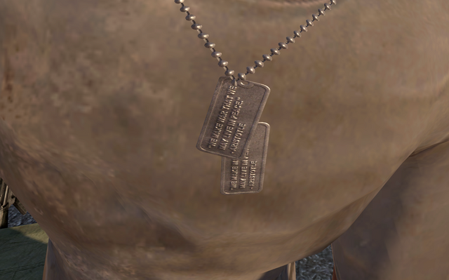 File:Dog Tags Easter Egg S.S.D.D. MW2.png