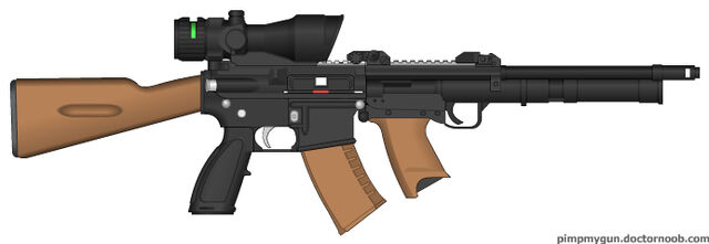 File:PMG AK-81 Assault Rifle.jpg