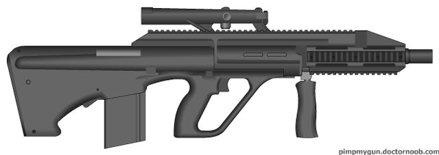 File:PMG AUGish Gun.jpg