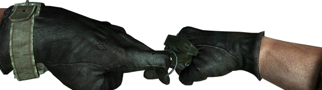File:Flashbang Cooking BO.png