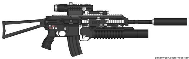File:PMG CodExpert'sgun.jpg