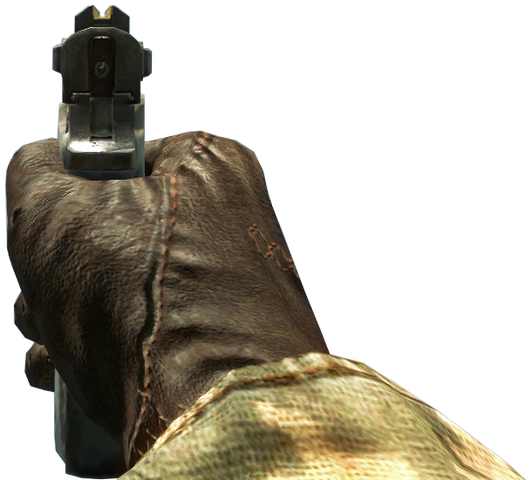 File:ASP Iron Sights BO.png