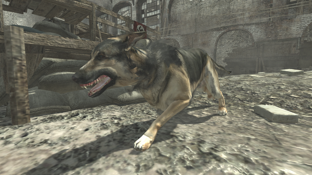 File:Dog WaW.png