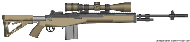 File:PMG The m14 ebr scoped.jpg
