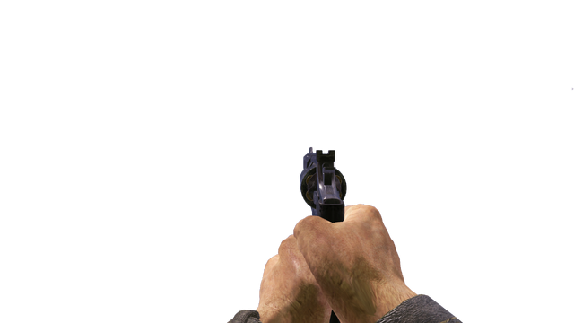 File:44 Magnum CoDO.png