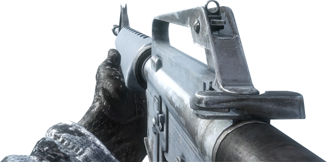 File:M16 Ice BO.png