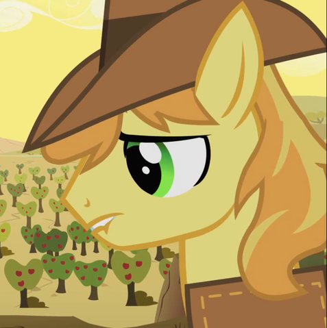 File:Sad Braeburn,.png