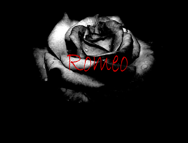 File:RomeoLogo.png