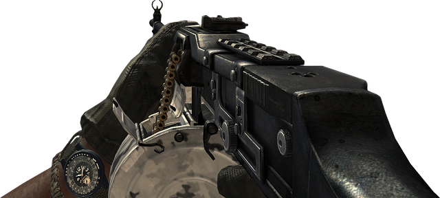 File:RPD Arctic MW2.png