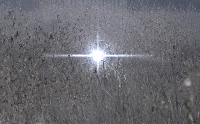 File:Scope Glint Hidden MW2.png