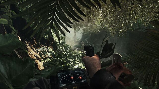 File:Jungle Ghosts CoDG.jpg