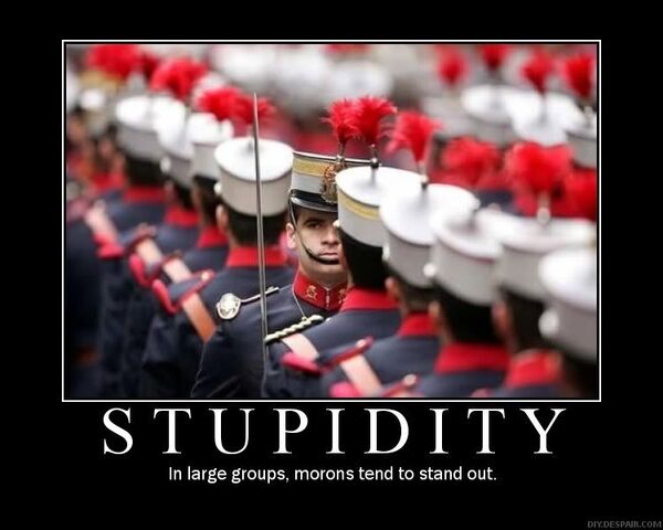 File:Stupid.jpg
