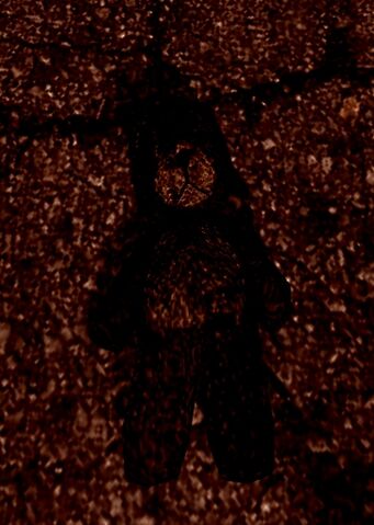 File:Teddy Bear easter egg Aftermath CoD4.jpg