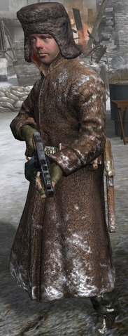 File:Soviet PPSh-41 CoD2.png