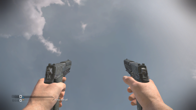 File:P226 Akimbo CoDG.png