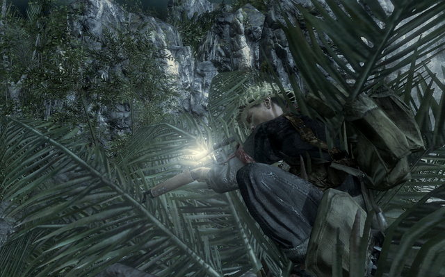 File:Scope Glint Crash Site BO.png