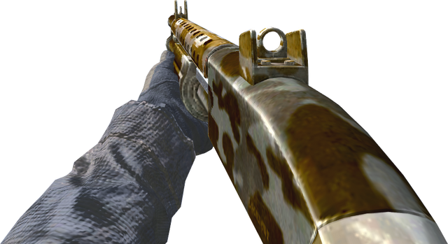File:W1200 Desert CoD4.png