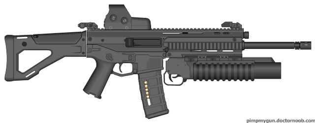 File:PMG Custom acr.jpg