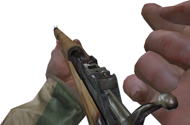 File:Lee-Enfield Unchambering CoD.png