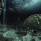File:Moon TN.png