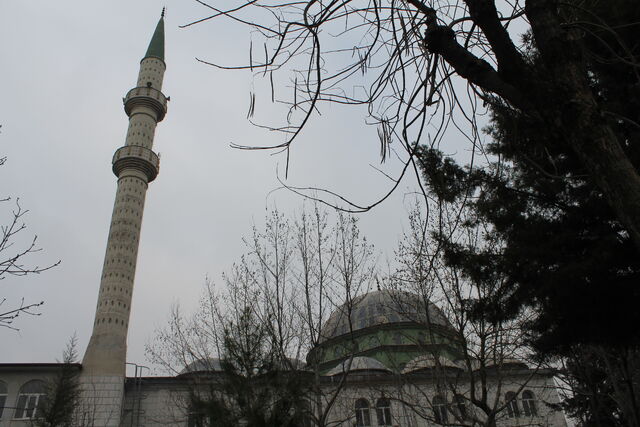 Dosya:RESİM (14).jpg