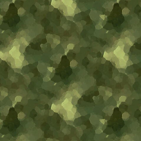 File:ASCP-D.jpg
