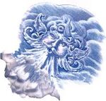 Wind