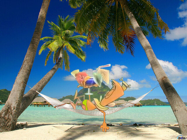 File:Playa-lazlo.jpg