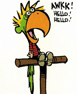 Parrot Calvin