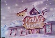 Pony-home.jpg