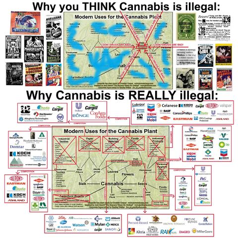 File:Why cannabis is illegal.jpg