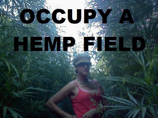 File:Occupy a hemp field.jpg