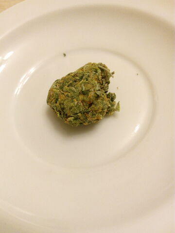 File:Chronic Haze.jpg