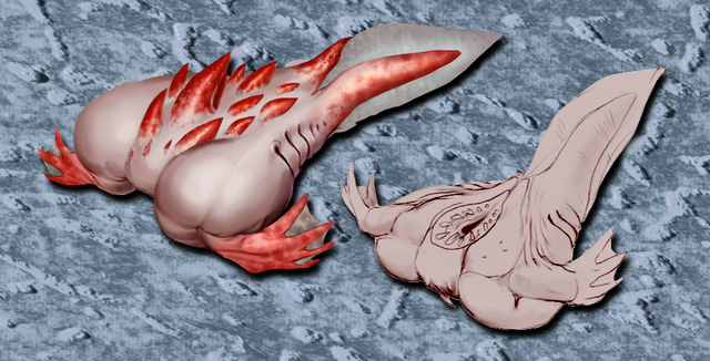 File:Albinoid Tadpole.png