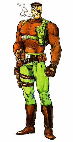 File:Punisher Nick Fury.png