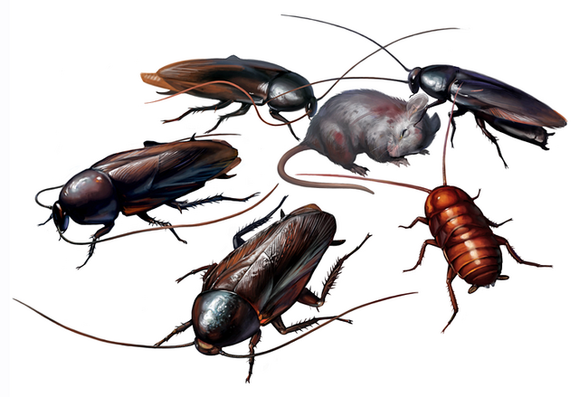 File:RE2Cockroaches.png