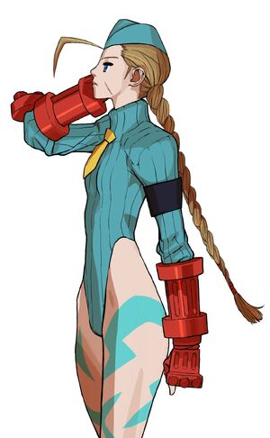 File:CammySFAnthology.jpg