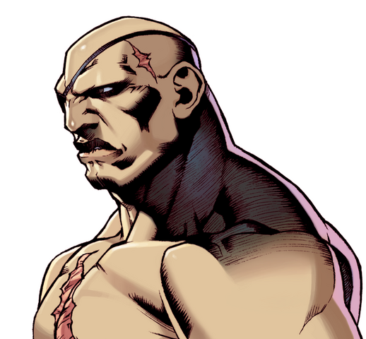 File:SSFIITRSagat.png