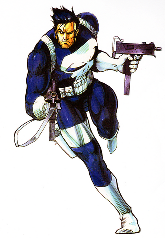 File:Punisher Punisher.png